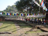 Nepal Tour and Trek